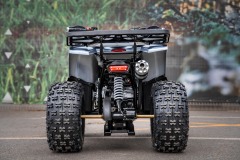 Trapper-Hummer-125-02794