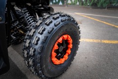 Trapper-Hummer-125-02803