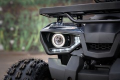 Trapper-Hummer-125-02808